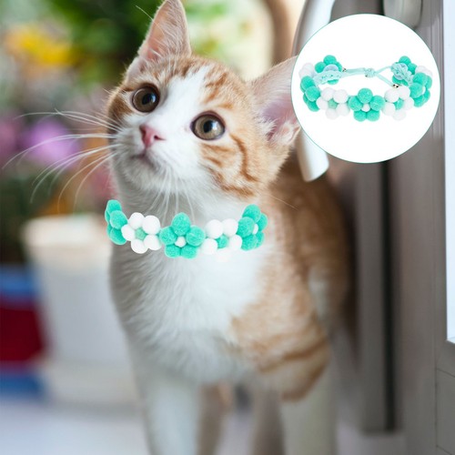 Collier pour chien - pour,