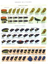 Document planche ancienne