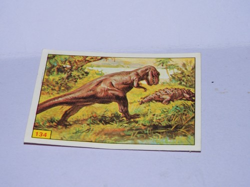 Image panini animaux - panini,