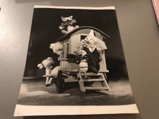 KIRI LE CLOWN  - Photo de