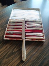 Coffret 12 Couteaux Metal