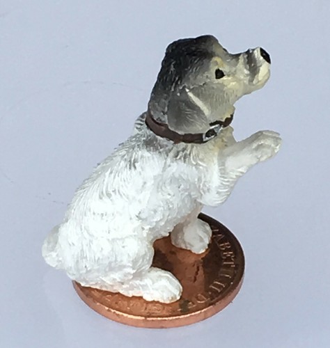 Maison poupée chien - chien, jack