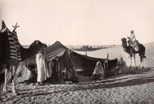 Algerie devant haimoh - la,