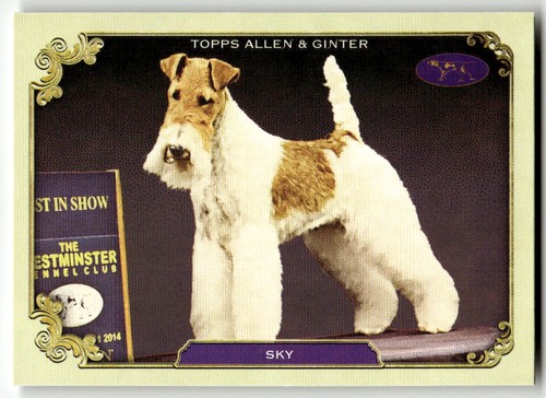 2024 topps allen - topps,