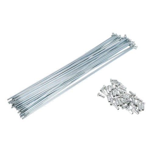 Set 12g rayons vélo - 38,