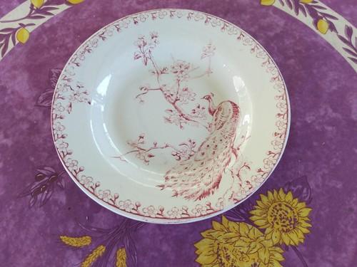 Assiette creuse ancienne terre - creuse,
