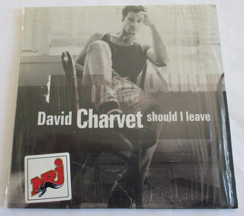 David charvet cd single - david,