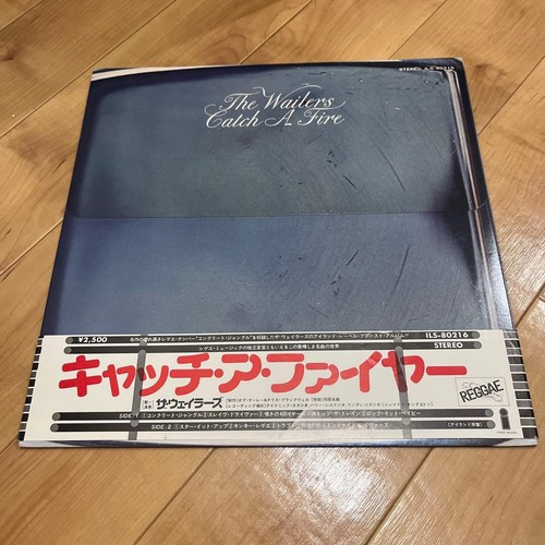 Bob marley reggae vinyl - marley, record