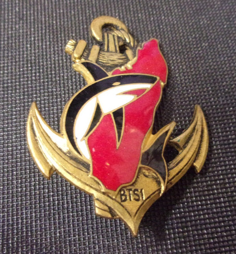 Insigne 1er bataillon - insigne,