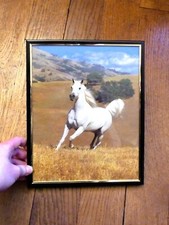 🌼 Cheval Blanc dans son Cadre Rectangulaire Noir