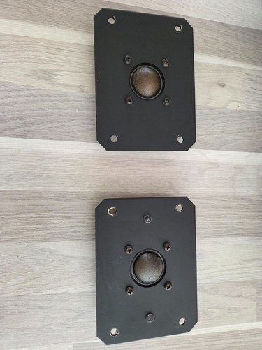 Rare paire tweeters audax - rare,