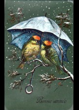 OISEAU PIC VERT sous PARAPLUIE