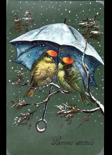 Oiseau pic vert sous parapluie - vert,
