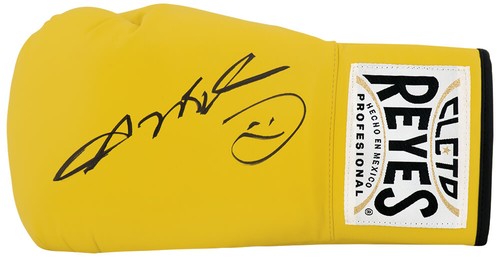 Sugar ray leonard - leonard, cleto