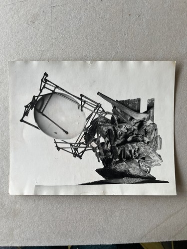 Cesar photo sculpture oeuf - ,