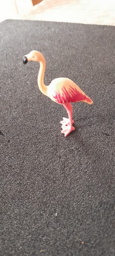Animal oiseau flamant rose - ,