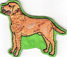 LABRADOR RETREIVER Pets