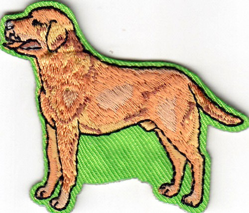 Labrador retreiver pets - retreiver,