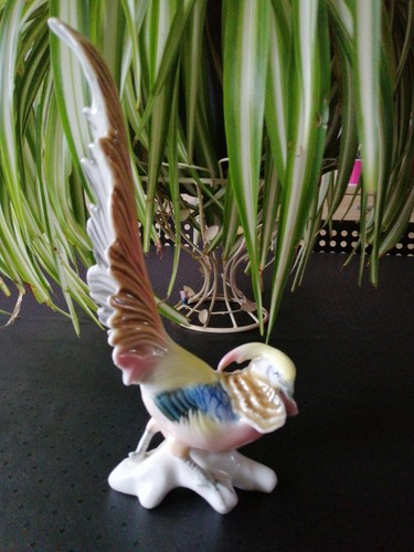 Faisan doré porcelaine - ,