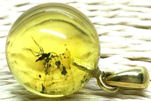 Pendentif ambre cadeau insect - pendentif,