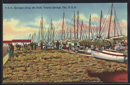 Carte postale tarpon springs - postale,