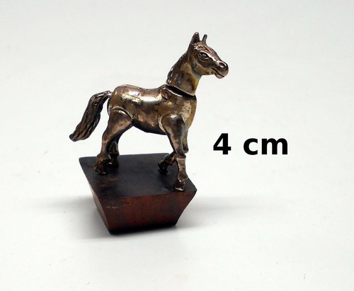 Cheval miniature sur - cheval,