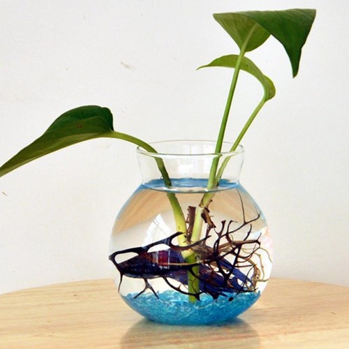 Verre clair fleur - verre, planteur