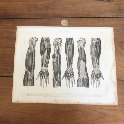 Gravure ancienne 19eme - gravure,