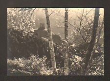 Environs de SAINT-FLOUR (15) CHATEAU D'ALLEUZE Cliché Albert MONIER