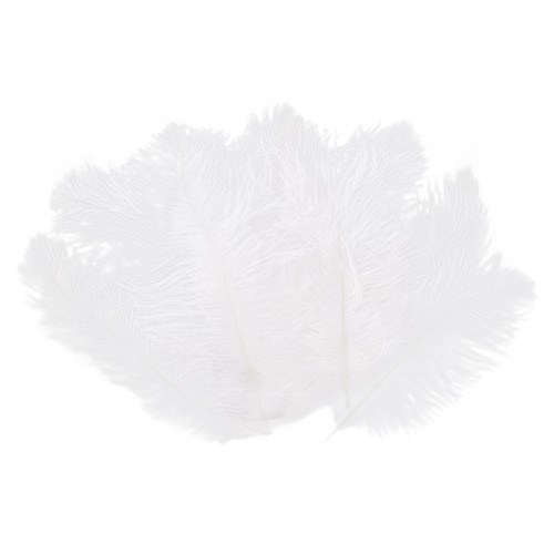 Pièces plume autruche - pièces,