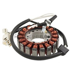 Aimant Stator Allumage 18 Poli
