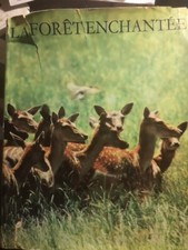 La Forêt Enchantée