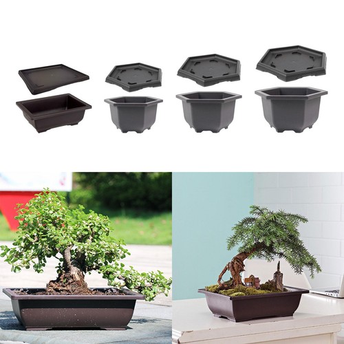 Pots entraînement avec - pots, d'entraînement