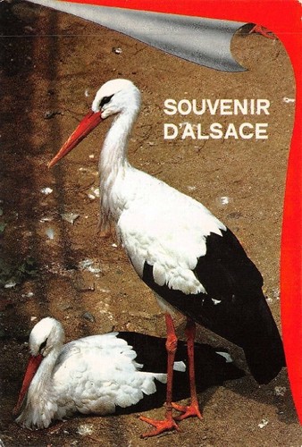 Souvenir alsace les - -,