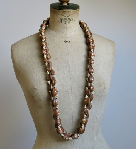 Collier coquillage beau - collier, de