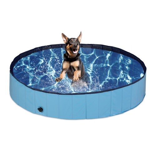Piscine chien kg bleu - piscine,