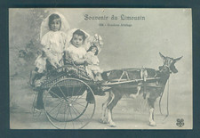 Cpa "Souvenir du Limousin"  charrette à chèvre, attelage - Limoges Tesson 1914.