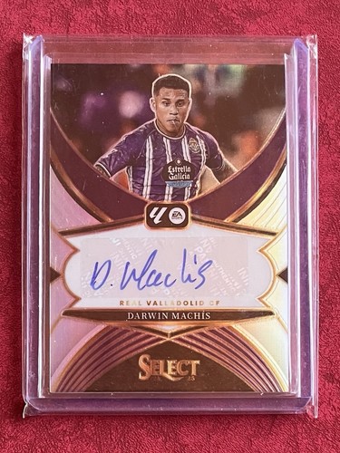 2024 panini select - 2024-25,