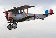 Géant 1/3 Echelle Français