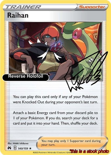 Raihan pokemon crz 140 - raihan,