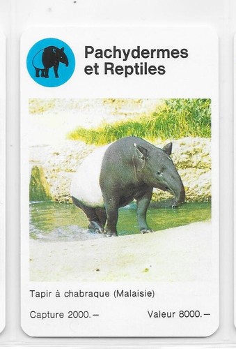 Carte wwf tapir à - -,