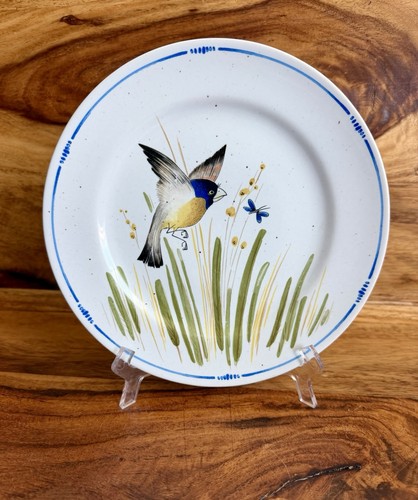 Oiseau fitz floyd - &,