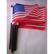 Drapeau Etats-Unis 15x10cm