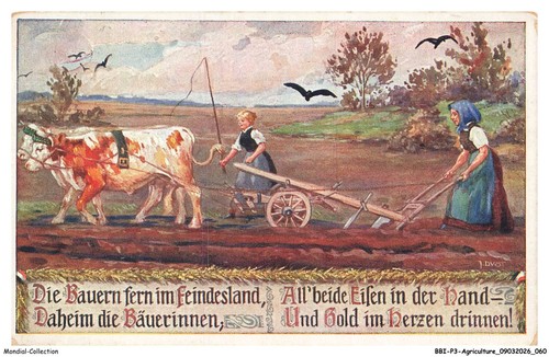 Bbip3 0276 agriculture - bbip3-0276-agriculture,
