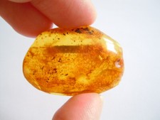 Broche En Ambre Naturel Avec 2