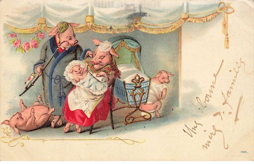 Cochon mk41590 famille - cochon,