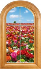 Sticker Fenêtre vouté trompe