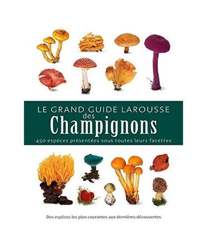 Grand guide larousse - grand, des