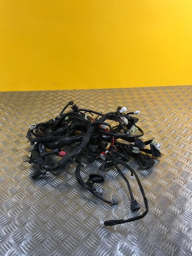 Faisceau électrique pour