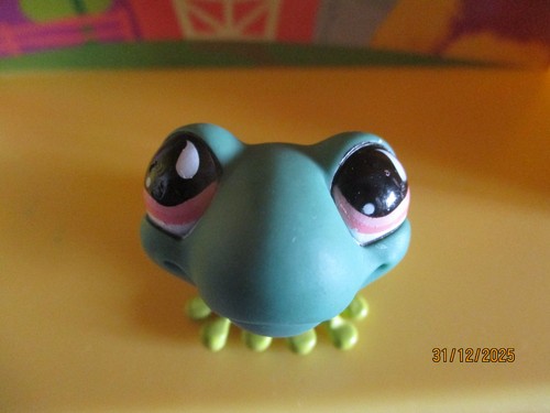 Petshop grenouille 562 avec - /,